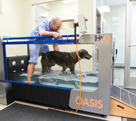 Veterinary Technician with dog in water therapy chamber.